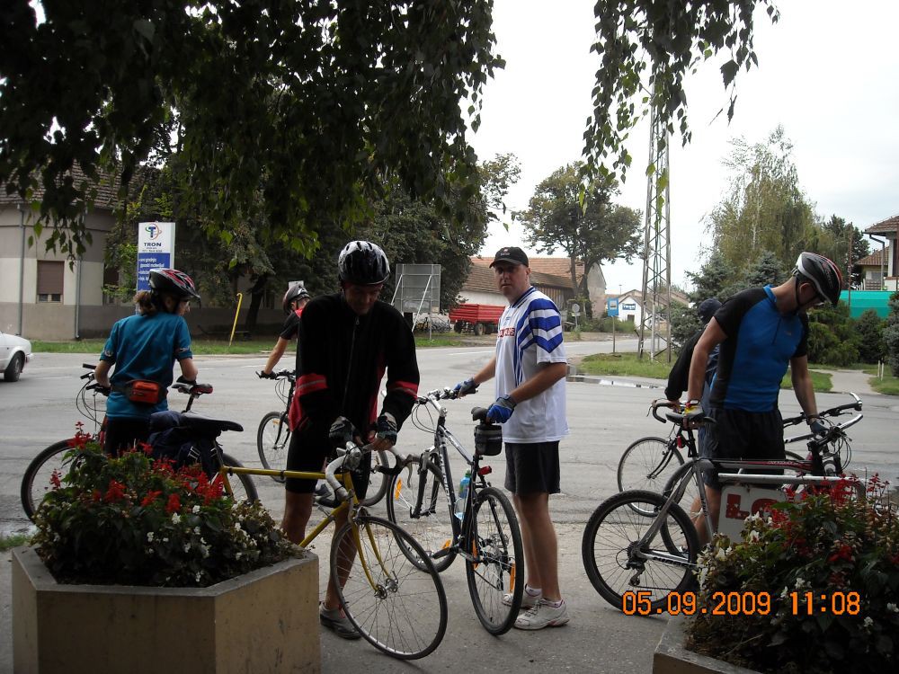 Picture 019