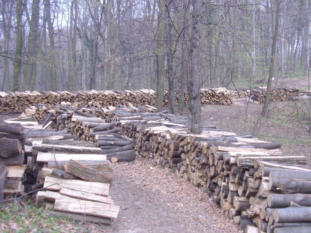 protest u starim ledincima-fruška gora