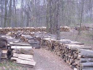 protest u starim ledincima-fruška gora