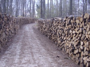 protest u starim ledincima-fruška gora