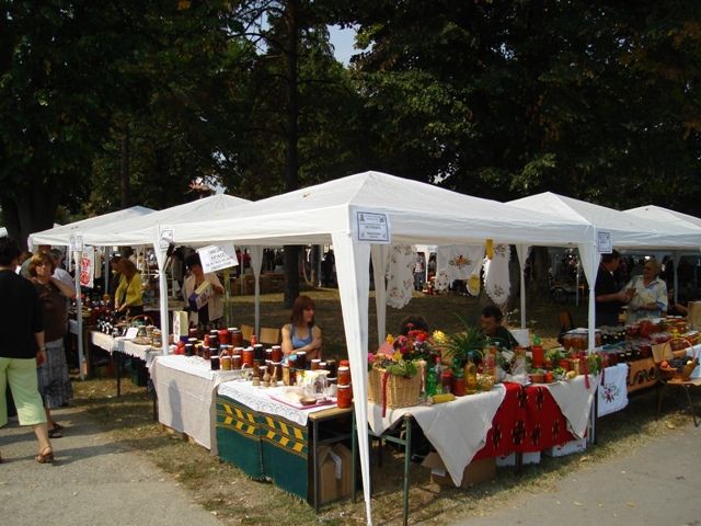DSC01954