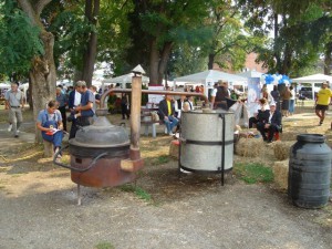 DSC01960
