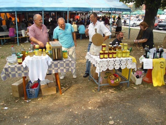 DSC01982