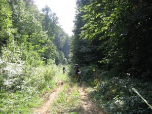 IMG_1981[1]