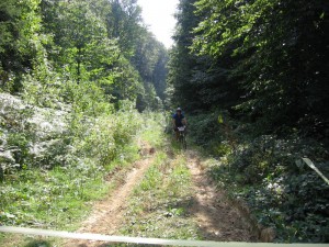 IMG_1982[1]