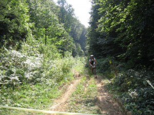 IMG_1987[1]