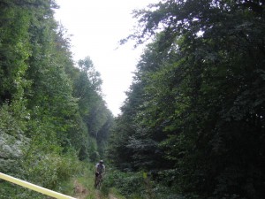 IMG_1990[1]