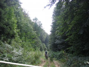 IMG_1991[1]