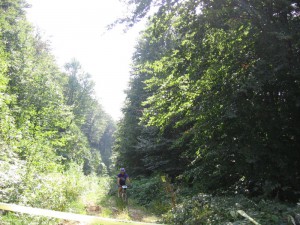 IMG_1995[1]