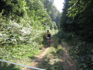 IMG_2001[1]