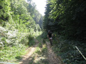 IMG_2004[1]