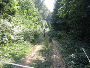 IMG_2008[1]