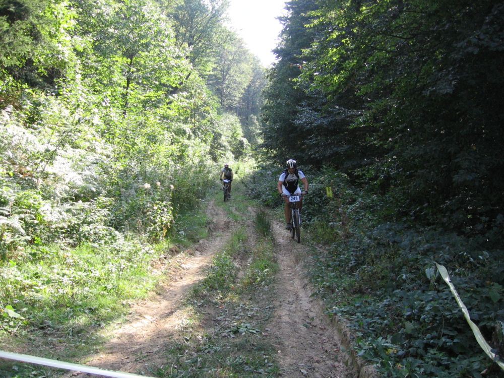 IMG_2011[1]