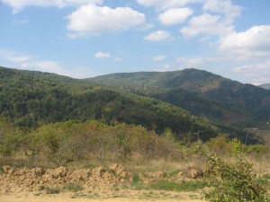IMG_3044