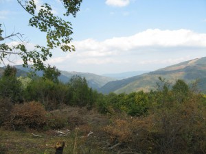 IMG_3079