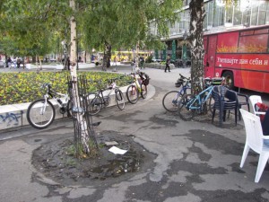 IMG_8745