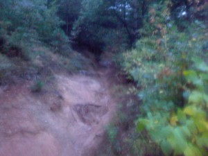 Foto-0005