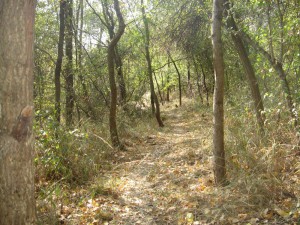 hippie trail