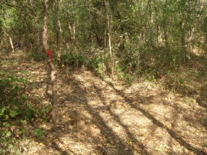 hippie trail