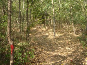 hippie trail