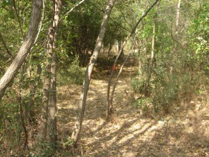 hippie trail