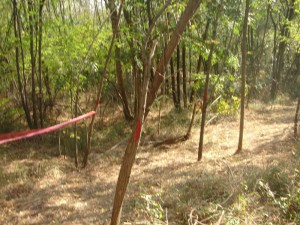 hippie trail