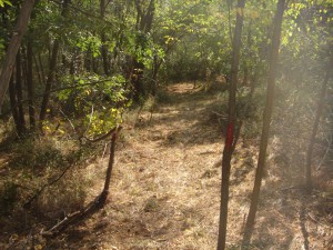 hippie trail