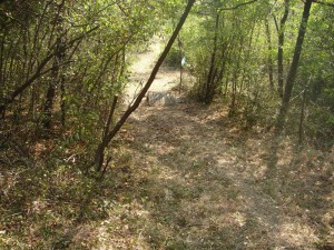 hippie trail