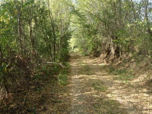 hippie trail