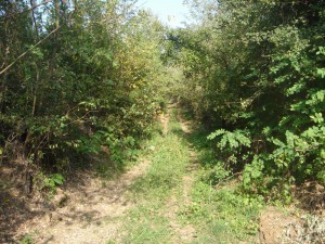 hippie trail