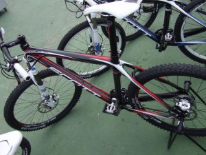 scott scale 20