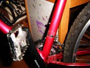 Picture 016