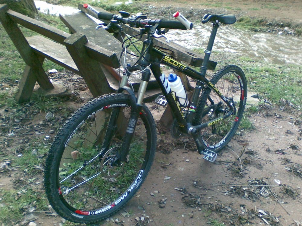 scott scale 10