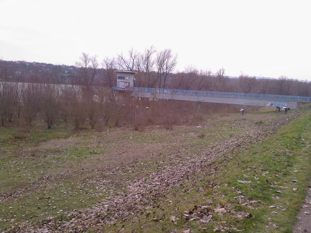 Foto-0007