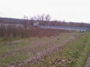 Foto-0007