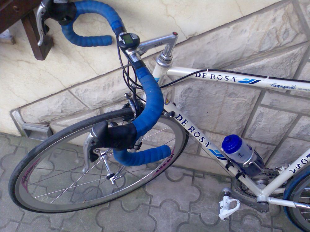De rosa 2