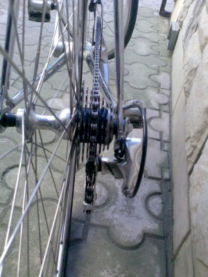 de rosa 9