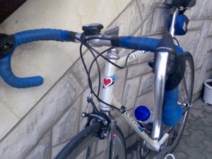 de rosa 6