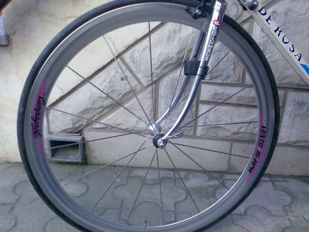 de rosa 7