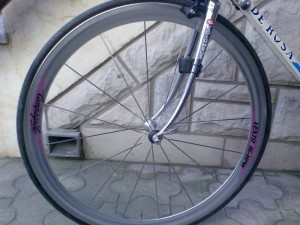 de rosa 7