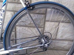 de rosa 8