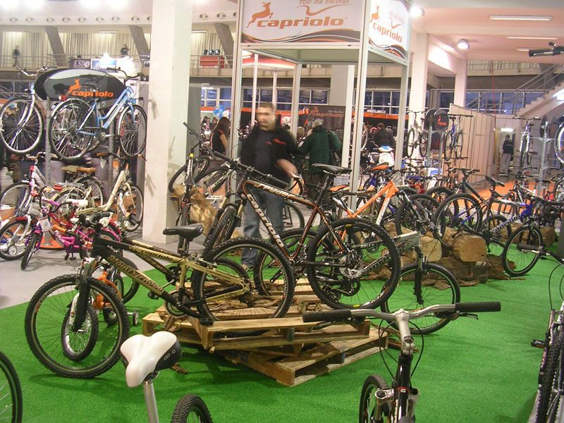capriolo_07