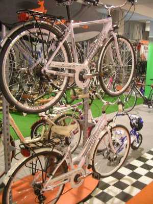 capriolo_09