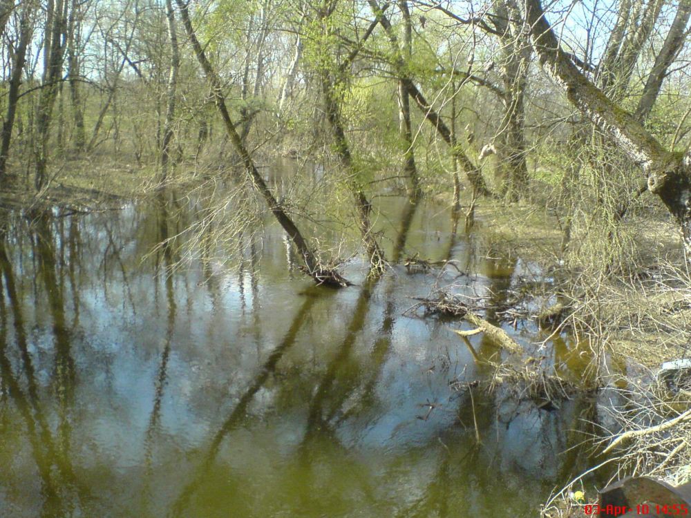 DSC00417