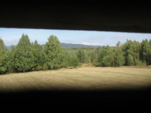 bdsd