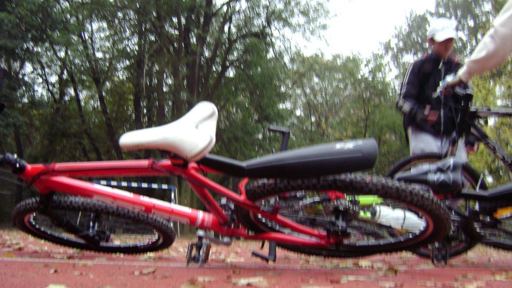 Polar Viper 2