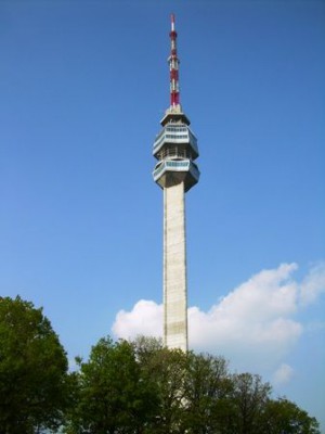 7. Lepši i viši.