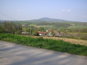 DSC08052