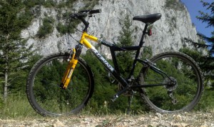 Moja Alpina Apache