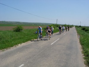 Rankova grupa - 2